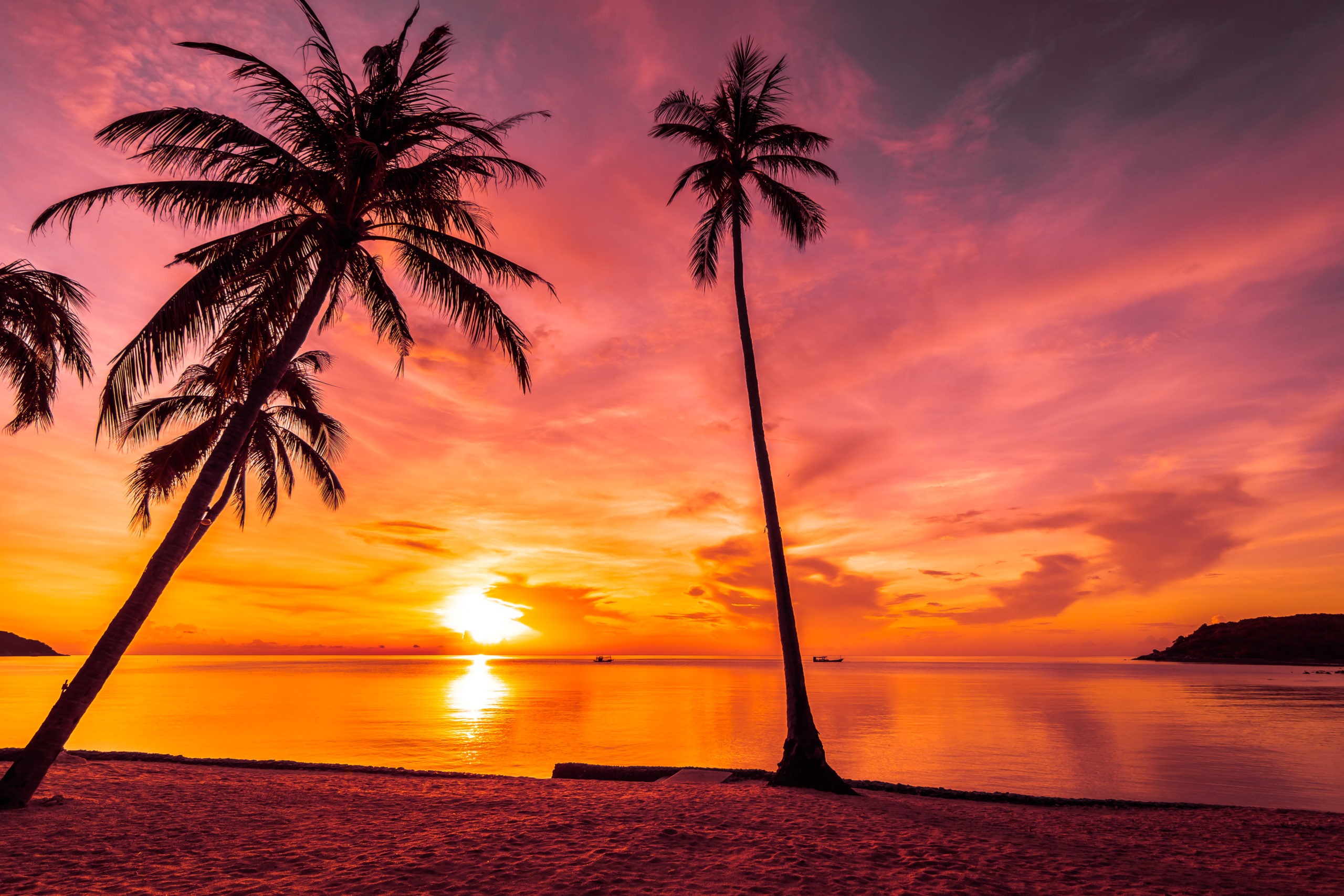 At sunset time on the tropical paradise island beach and sea with coconut p...
